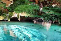 Playa del Carmen Cenote Snorkeling