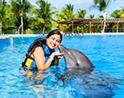 Dolphins Playa del Carmen