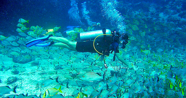 Cozumel Scuba Diving from Playa del Carmen