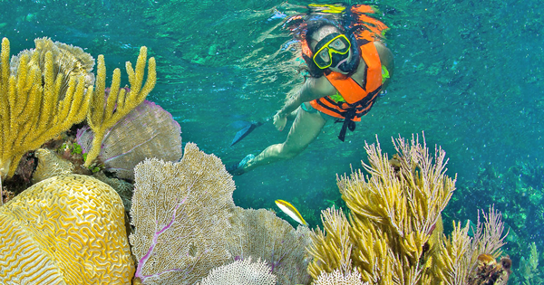 snorkelling in playa del carmen